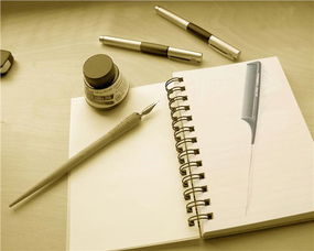 高效美发助手 耐高温实用直发梳