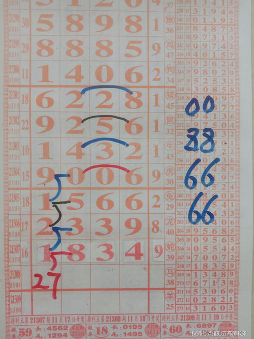 排5走势分析与趋势探讨